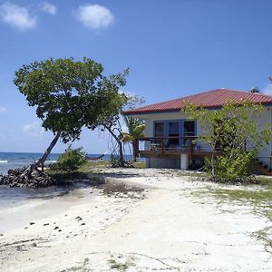 Ocean Front Cabin